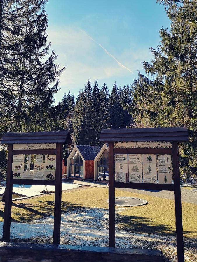 Drewniana Roza Domki Karkonosze ピエホビツェ エクステリア 写真